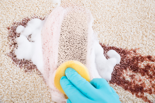 Removing Carpet Stains